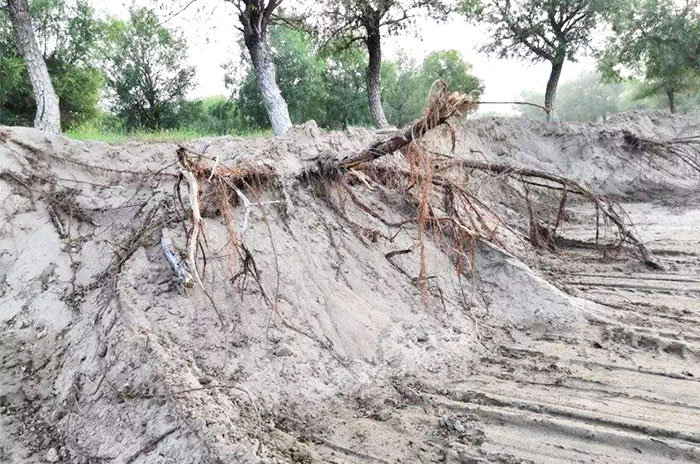 長期采沙，生態(tài)遭到嚴重破壞